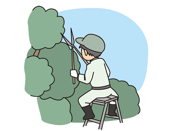 庭木のチェック