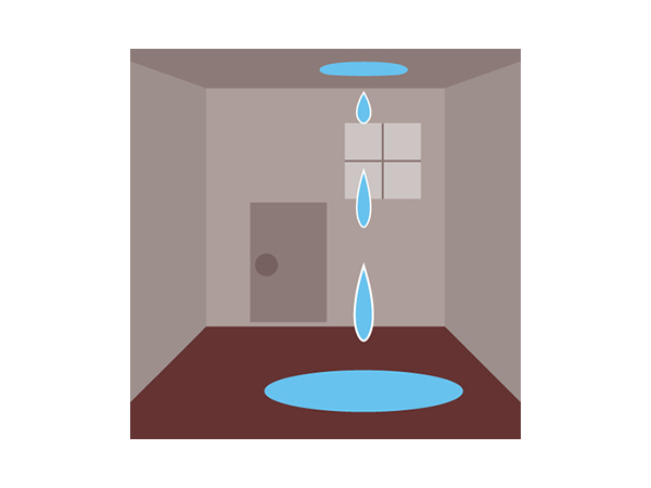 雨漏りのチェック